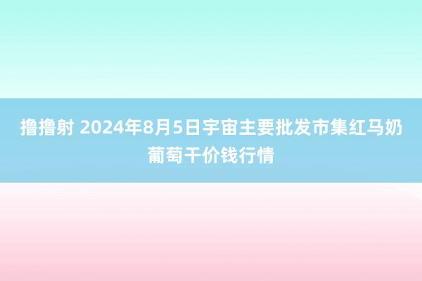 撸撸射 2024年8月5日宇宙主要批发市集红马奶葡萄干价钱行情