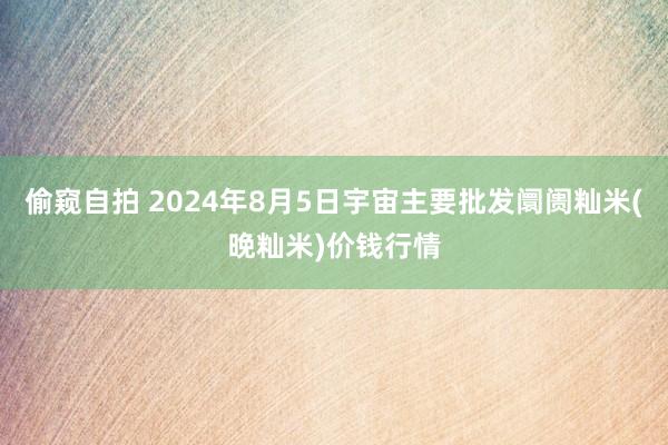 偷窥自拍 2024年8月5日宇宙主要批发阛阓籼米(晚籼米)价钱行情