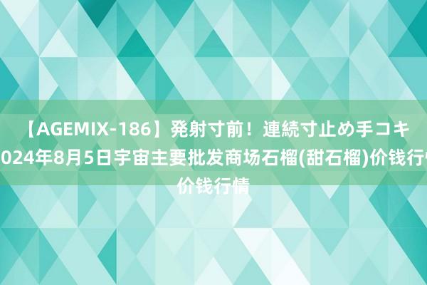 【AGEMIX-186】発射寸前！連続寸止め手コキ 2024年8月5日宇宙主要批发商场石榴(甜石榴)价钱行情