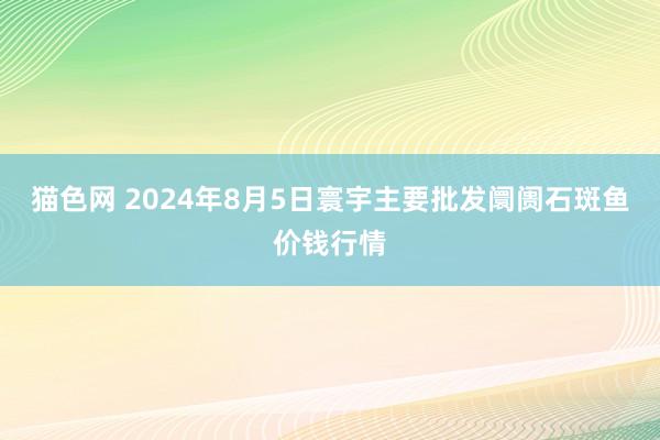 猫色网 2024年8月5日寰宇主要批发阛阓石斑鱼价钱行情