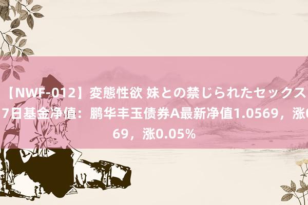 【NWF-012】変態性欲 妹との禁じられたセックス。 8月7日基金净值：鹏华丰玉债券A最新净值1.0569，涨0.05%