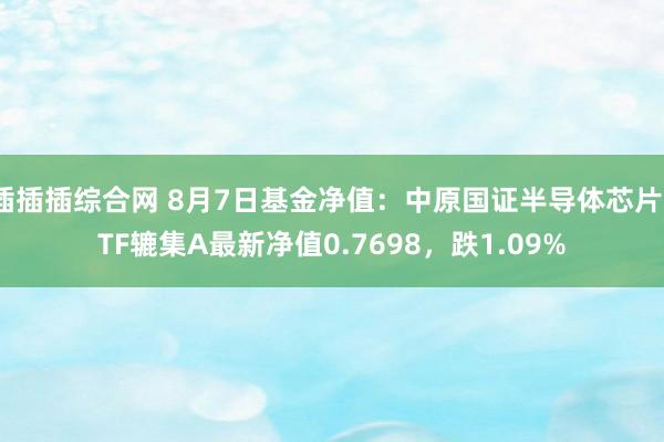 插插插综合网 8月7日基金净值：中原国证半导体芯片ETF辘集A最新净值0.7698，跌1.09%