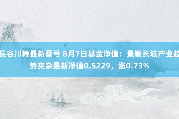 長谷川舞最新番号 8月7日基金净值：景顺长城产业趋势夹杂最新净值0.5229，涨0.73%