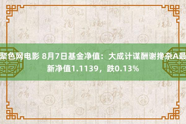 聚色网电影 8月7日基金净值：大成计谋酬谢搀杂A最新净值1.1139，跌0.13%