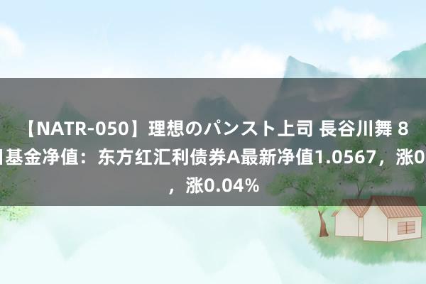 【NATR-050】理想のパンスト上司 長谷川舞 8月7日基金净值：东方红汇利债券A最新净值1.0567，涨0.04%