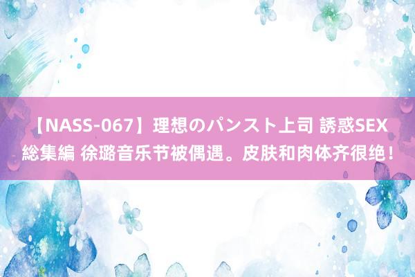 【NASS-067】理想のパンスト上司 誘惑SEX総集編 徐璐音乐节被偶遇。皮肤和肉体齐很绝！