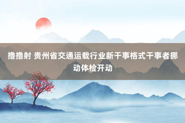 撸撸射 贵州省交通运载行业新干事格式干事者挪动体检开动