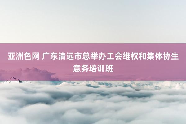 亚洲色网 广东清远市总举办工会维权和集体协生意务培训班