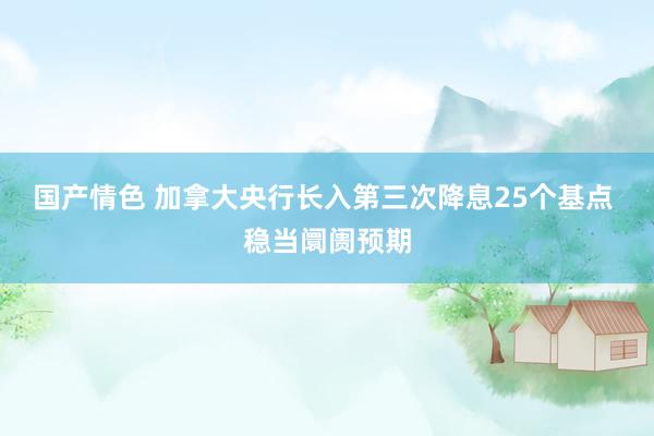 国产情色 加拿大央行长入第三次降息25个基点 稳当阛阓预期