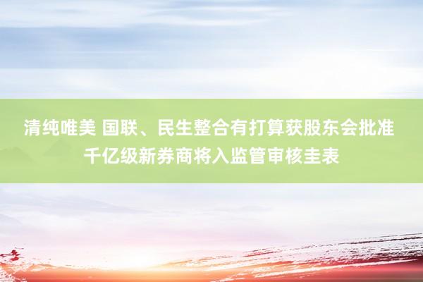 清纯唯美 国联、民生整合有打算获股东会批准 千亿级新券商将入监管审核圭表