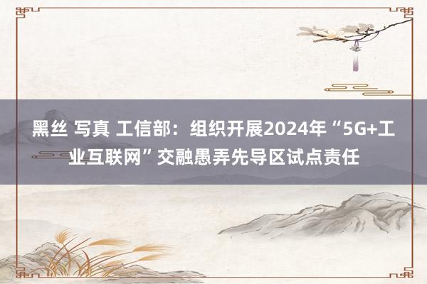 黑丝 写真 工信部：组织开展2024年“5G+工业互联网”交融愚弄先导区试点责任