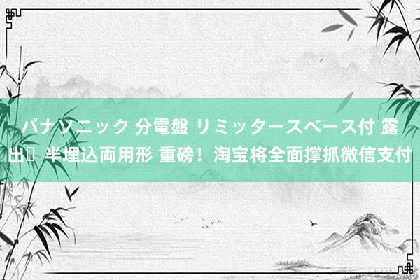 パナソニック 分電盤 リミッタースペース付 露出・半埋込両用形 重磅！淘宝将全面撑抓微信支付