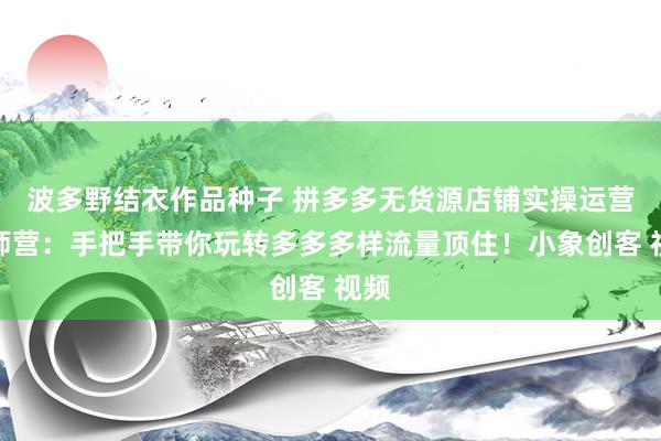 波多野结衣作品种子 拼多多无货源店铺实操运营老师营：手把手带你玩转多多多样流量顶住！小象创客 视频