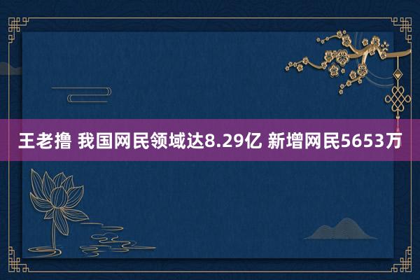 王老撸 我国网民领域达8.29亿 新增网民5653万